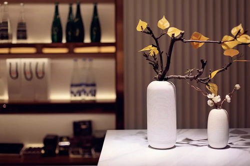 指尖上的藝術，為何成為文藝創作的靈感源泉？——揭秘劉娟美甲沙龍80%明星選擇的背后